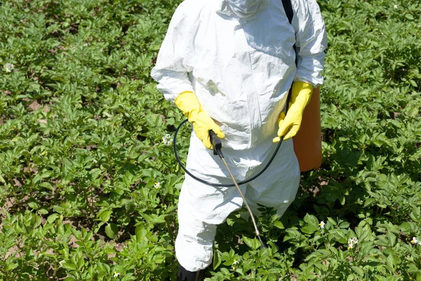 農家の家庭菜園で有毒な農薬や殺虫剤を散布 — ストック写真