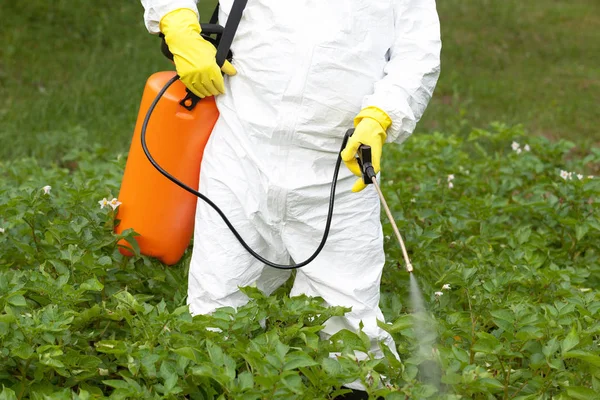 Herbicid sprutning. Icke-ekologiska grönsaker. — Stockfoto