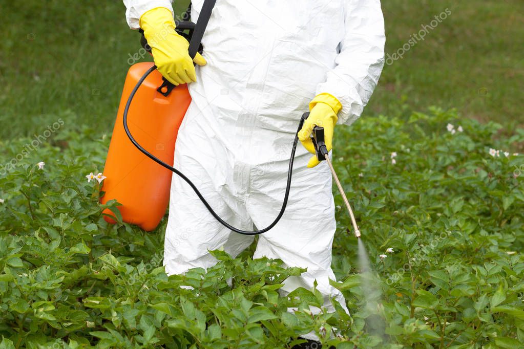 Herbicide spraying. Non-organic vegetables.