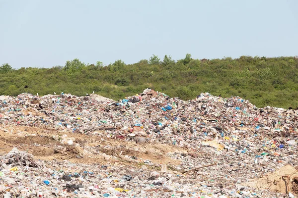 Förorening av plast i miljön — Stockfoto