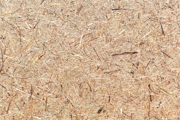 Закрыть отжатый фон текстуры сена — стоковое фото