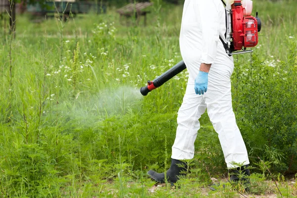Homem de roupa de trabalho protectora a pulverizar herbicida em ragweed. Controle de ervas daninhas . — Fotografia de Stock