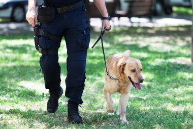 Polis köpeği yle görevli polis