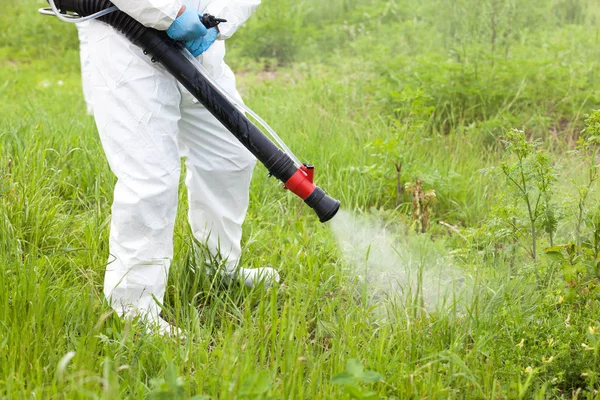 Homem de roupa de trabalho protectora a pulverizar herbicida em ragweed. Controle de ervas daninhas . — Fotografia de Stock