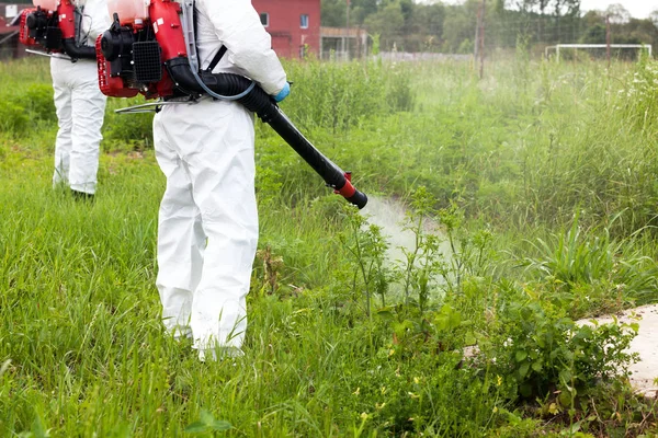 Koruyucu iş kıyafeti giyen adam, kentsel bir yerleşimde ragweed üzerine herbisit püskürtüyor. Weed kontrolü. — Stok fotoğraf