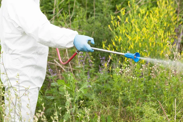 Hombre en ropa de trabajo protectora rociando herbicida sobre la ambrosía —  Fotos de Stock