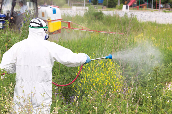 Man in protective workwear spraying herbicide on ragweed in an urban area. Weed control.