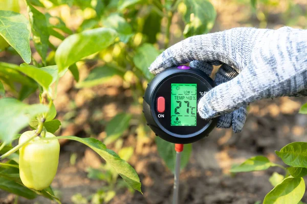 Messung Von Temperatur Feuchtigkeitsgehalt Des Bodens Umgebungsfeuchte Und Beleuchtung Gemüsegarten — Stockfoto