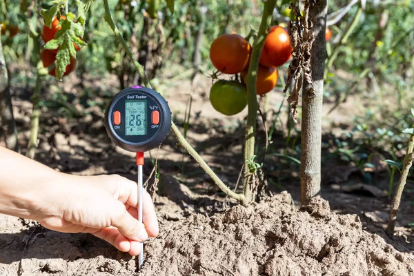 菜园温度 土壤水分含量 环境湿度和光照的测定 — 图库照片