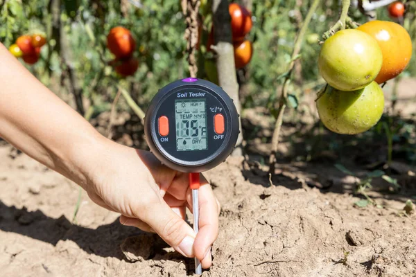 Messung Von Temperatur Feuchtigkeitsgehalt Des Bodens Umgebungsfeuchte Und Beleuchtung Gemüsegarten — Stockfoto