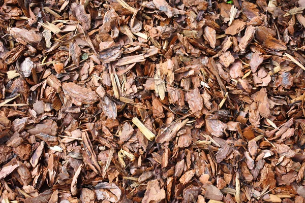 Fyllt träd bark en bakgrund. väg gjord av ek bark. — Stockfoto