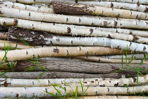 Fondo de textura de madera. Troncos y barras de madera natural . — Foto de Stock