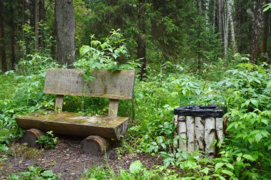 Dinlenmek için ormanda ahşap dükkan. Kütüklerden el yapımı bir bank. Güzel orman manzarası. Bir huş dan parkta bir çöp sepeti.