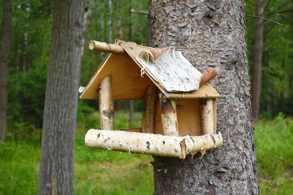 Alimentador Pájaros Madera Decoración Del Jardín Artesanal Caja Anidación Parque — Foto de Stock