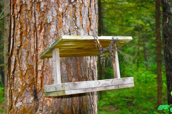 Alimentador Pájaros Madera Decoración Del Jardín Artesanal Caja Anidación Parque — Foto de Stock