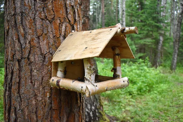 Alimentador Pájaros Madera Decoración Del Jardín Artesanal Caja Anidación Parque — Foto de Stock