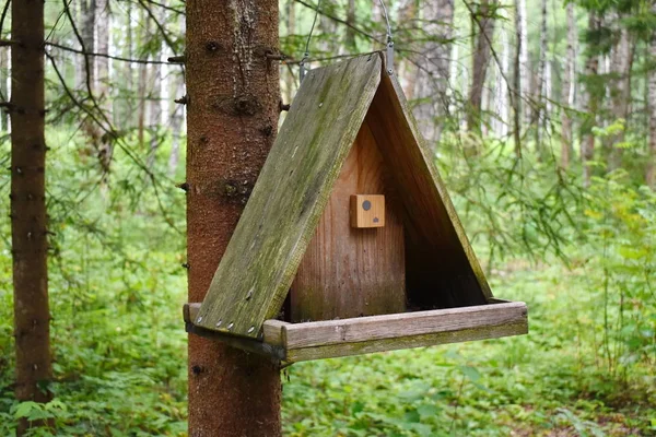 Drewniany Podajnik Ptaków Ogród Dekoracji Handwork Pole Lęgowe Parku — Zdjęcie stockowe