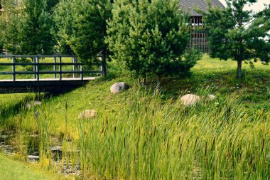 Canes ve backgr için bir rezervuar ile güzel yaz manzara