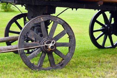 Bir at için eski ahşap sepet tekerlekleri. 