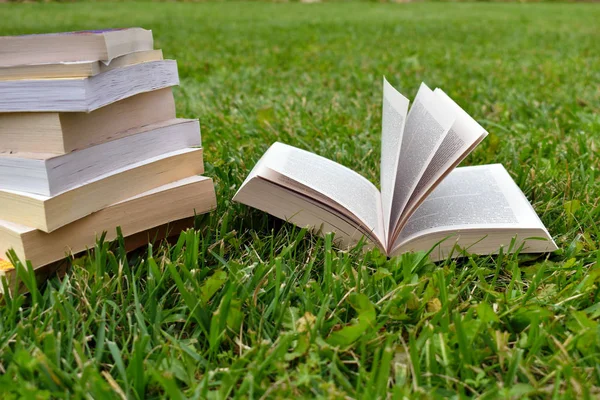 Yaz aylarında yeşil çim açık kitap