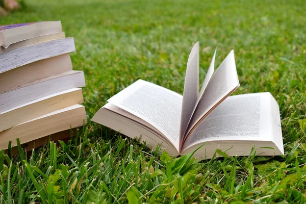 Yaz aylarında yeşil çim açık kitap. 