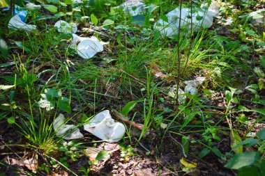 Ormanda çöp ve plastik. 