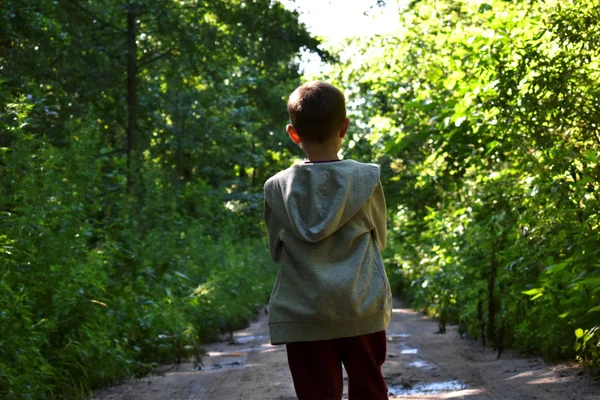 Один маленький мальчик в лесу летом — стоковое фото