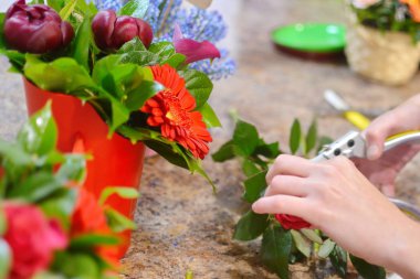 Çiçekçi kadın işte. Güzel hoş bir iş. Çiçekçi kutuda çiçek kompozisyon ulaştırır. Çiçek salonu kavramı. Çiçek web sitesi için fotoğraf. Profesyonel çiçekçi çalışmaları.