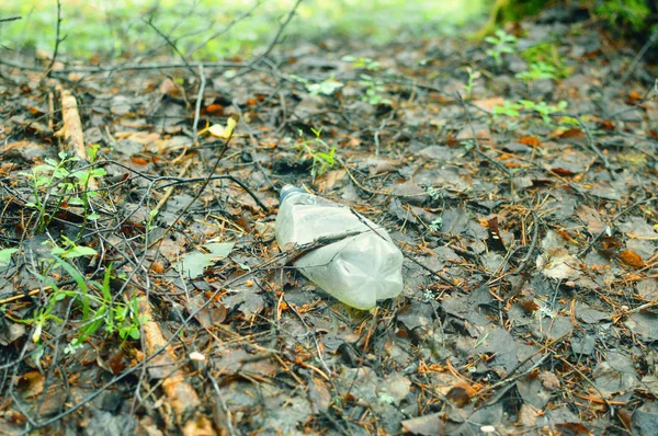 Yerdeki Ormanda Plastik Şişe Ekoloji Sorunu Günümüzde Çevre Koruma — Stok fotoğraf