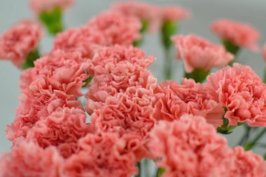 karanfil çiçek buketi