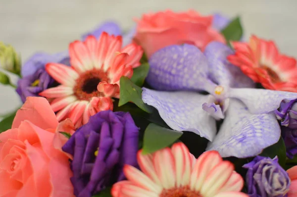Fond Sans Couture Fleurs Colorées Fond Fleurs Colorées Pour Décoration — Photo