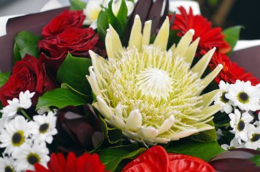 beyaz bir arka plan üzerinde çok renkli çiçeklerden kompozisyon