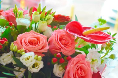 Renkli çiçeklerin kusursuz arka planı. Dekorasyon için renkli çiçekler arka plan. Çiçek fotoğraf duvar kağıdı. Tebrik kartı veya ekran istemi için doku çiçeği.