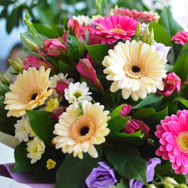 Renkli çiçeklerin kusursuz arka planı. Dekorasyon için renkli çiçekler arka plan. Çiçek fotoğraf duvar kağıdı. Tebrik kartı veya ekran istemi için doku çiçeği.