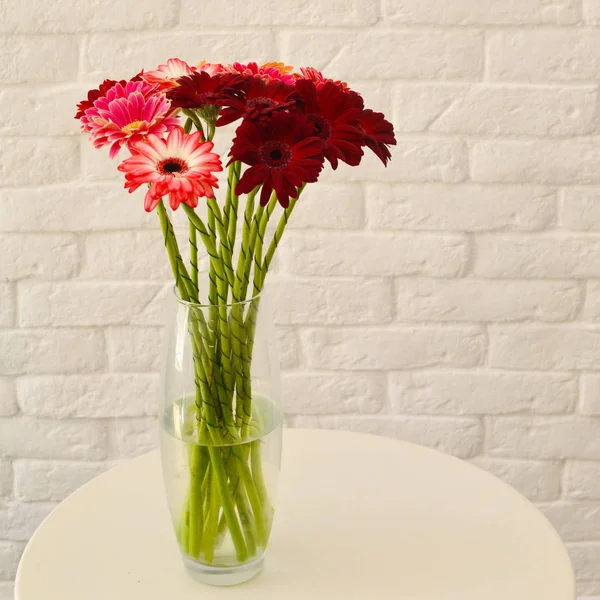 Röda Blommor Vas Svart Bakgrund — Stockfoto