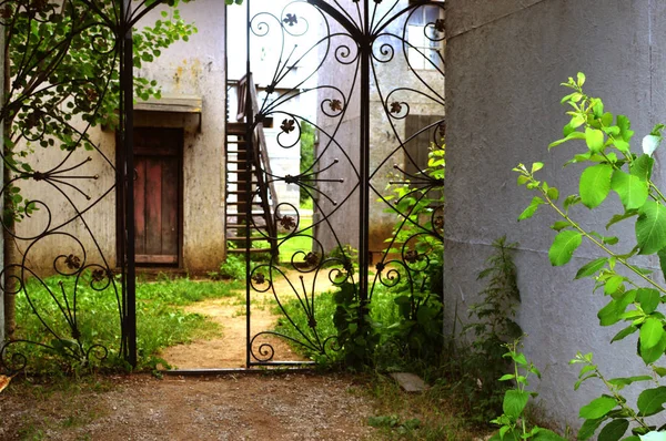 old forged gate in a garden. forged carved gate to the yard