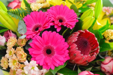 Renkli çiçeklerin kusursuz arka planı. Dekorasyon için renkli çiçekler arka plan. Çiçek fotoğraf duvar kağıdı. Tebrik kartı veya ekran istemi için doku çiçeği.