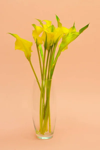 Beautiful lovely callas in stylish craft  paper on white table. Callas in packing paper. Concept of flower salon. Photo for the flower website or catalog.