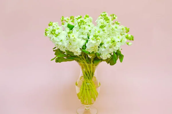 Beautiful Lovely Bouquet Spring Mattiola Flowers Flower Shop Concept Flower — Stock Photo, Image