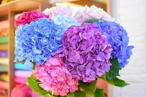 Blue and pink flowers of hydrangea close-up. Natural hydrangea flowers background. Seamless background of colorful flowers. Background of colorful flowers for decoration. Flower photo wallpaper. Texture flower for greeting card or prompt of screen.