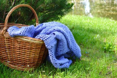 Yeşil çim bir ekose ile Hasır sepet