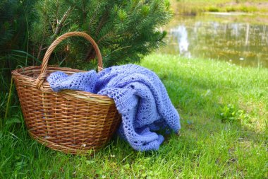 Yeşil çim bir ekose ile Hasır sepet