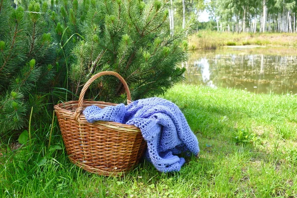 Wicker basket with a plaid on green grass