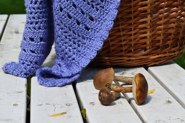 Cesta con champiñones y una tela a cuadros. Picnic al aire libre — Foto de Stock