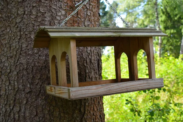 Pájaros de madera hechos a mano se alimentan de un árbol en el bosque . — Foto de Stock