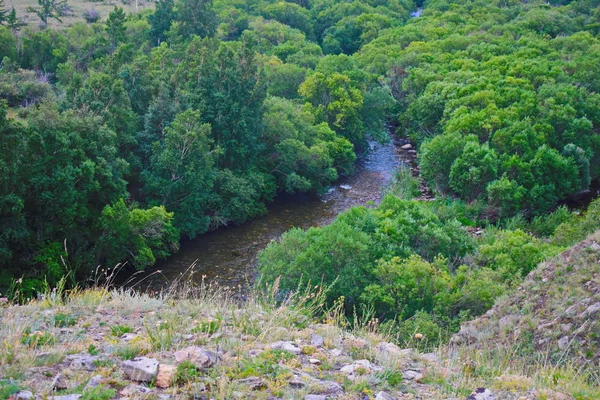 Hermoso Paisaje Montaña Bosque Sendero Montaña Viajeros Bosque Mágico Barranco — Foto de Stock