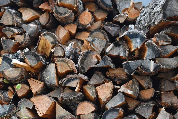 Firewood Put Woodpile Many Firewood Furnace Fellow Countryman Wood Heating — Stock Photo, Image