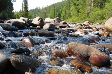 Taşlarla hızlı fırtınalı dağ nehri.