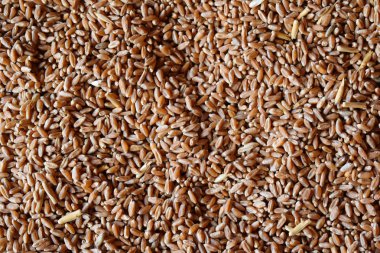 Bir torbada buğday doğal tahıllar.