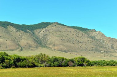 Ormanile pastoral dağ manzara.